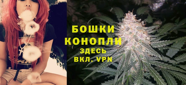 крисы Арсеньев